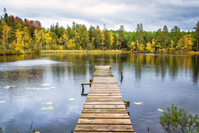 Der schwedische Herbst klopft an